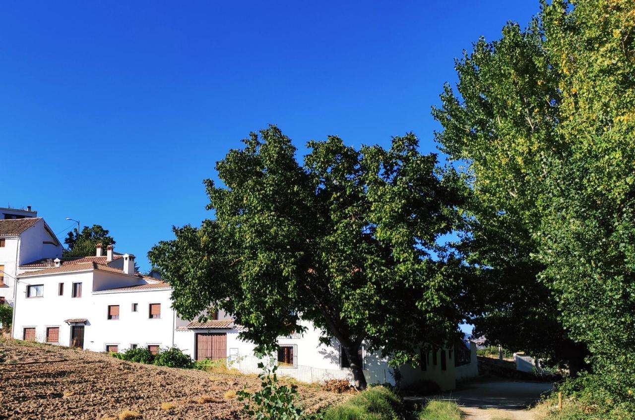 Complejo Apartamentos Rurales Molino De Abajo Ribera Baja  Exterior foto